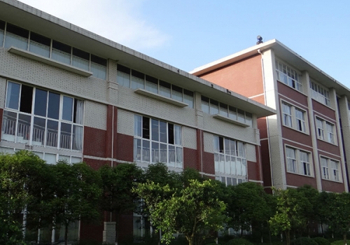 尼瓦乐瓷砖胶重庆医科大学项目