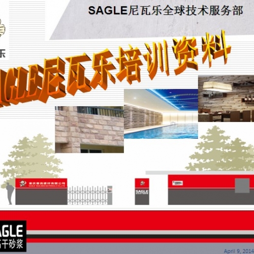 SAGLE【攻关秘籍】