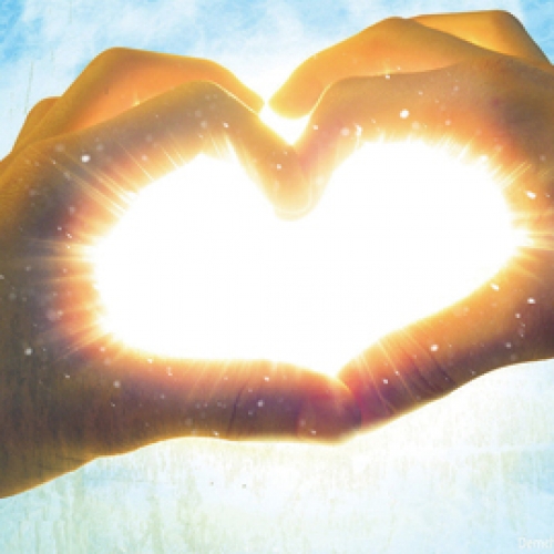 热烈庆祝尼瓦乐淘宝网官方旗舰店隆重开业